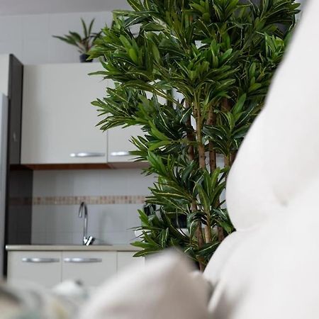 Trinidad Aparment Apartamento Málaga Exterior foto